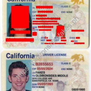 California Driver License(New CA O21)