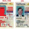 OldIronsidesFakes PH - California Driver License(New CA U21)