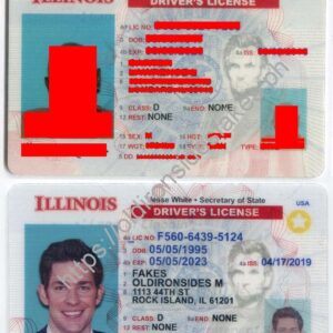 Illinois Driver License(New IL)